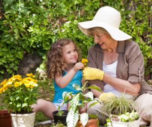 hopkinton-home-care-gardening